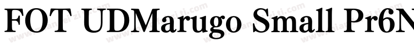 FOT UDMarugo Small Pr6N Bold字体转换